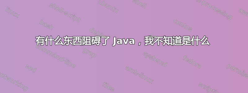 有什么东西阻碍了 Java，我不知道是什么