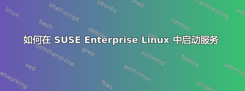 如何在 SUSE Enterprise Linux 中启动服务