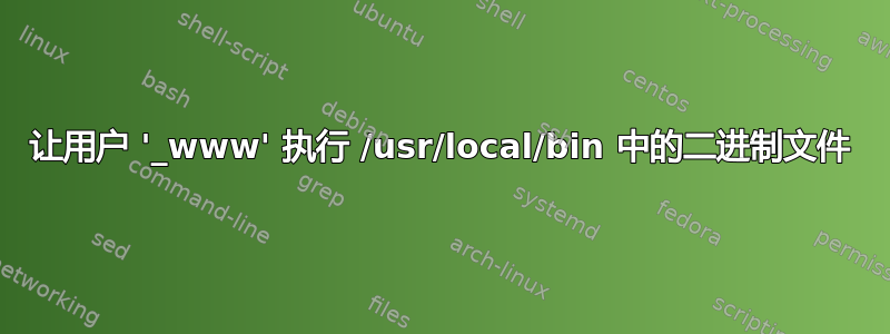 让用户 '_www' 执行 /usr/local/bin 中的二进制文件