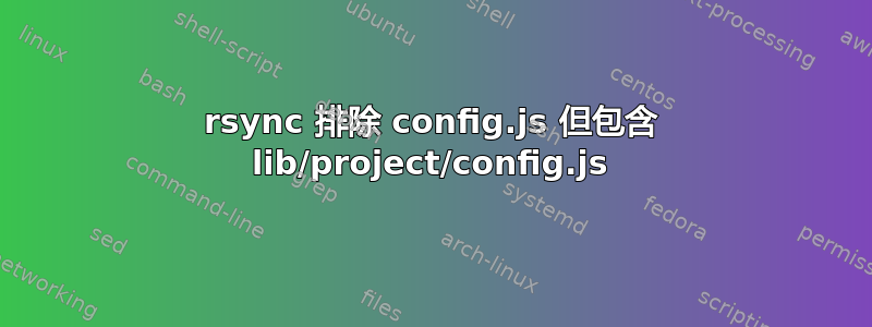 rsync 排除 config.js 但包含 lib/project/config.js