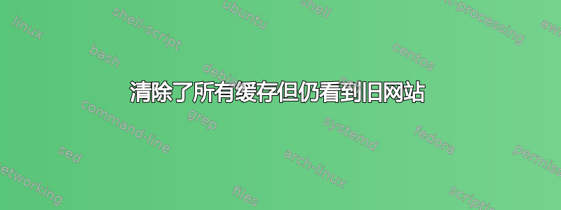 清除了所有缓存但仍看到旧网站