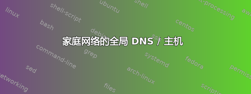 家庭网络的全局 DNS / 主机 