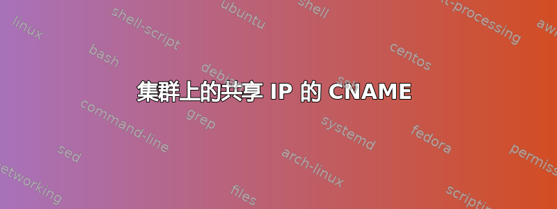 集群上的共享 IP 的 CNAME