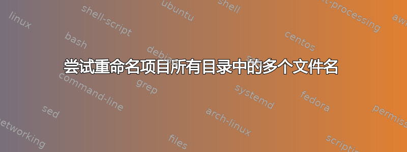 尝试重命名项目所有目录中的多个文件名