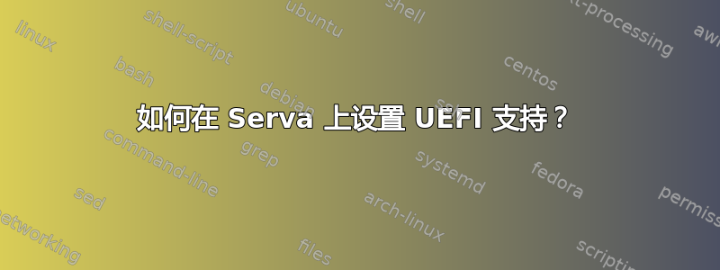 如何在 Serva 上设置 UEFI 支持？