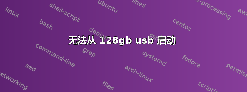 无法从 128gb usb 启动