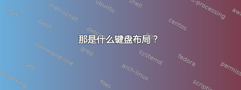 那是什么键盘布局？