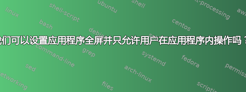 我们可以设置应用程序全屏并只允许用户在应用程序内操作吗？