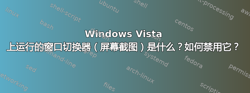 Windows Vista 上运行的窗口切换器（屏幕截图）是什么？如何禁用它？