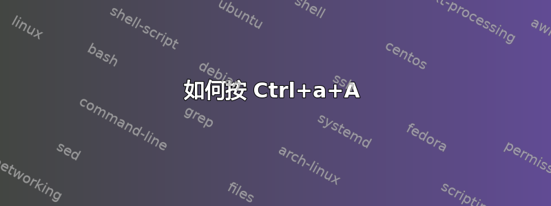 如何按 Ctrl+a+A