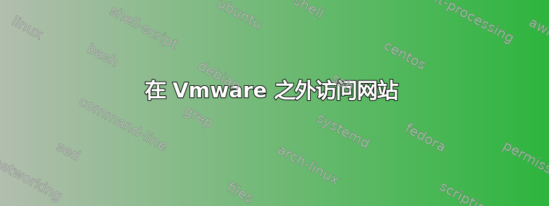 在 Vmware 之外访问网站