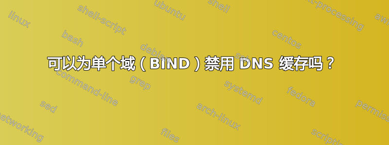 可以为单个域（BIND）禁用 DNS 缓存吗？