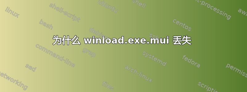 为什么 winload.exe.mui 丢失