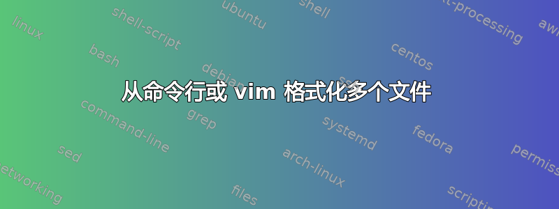 从命令行或 vim 格式化多个文件