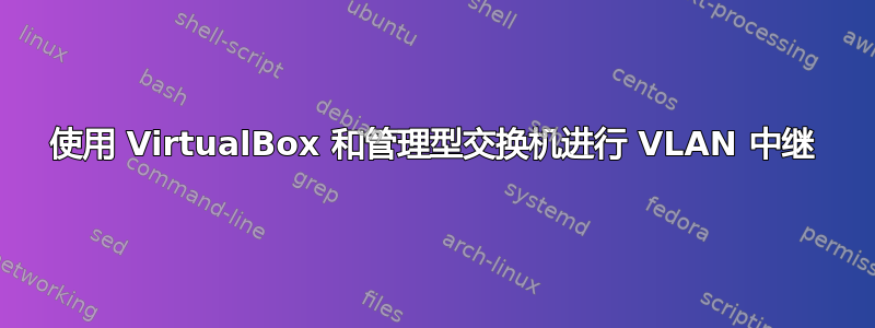 使用 VirtualBox 和管理型交换机进行 VLAN 中继