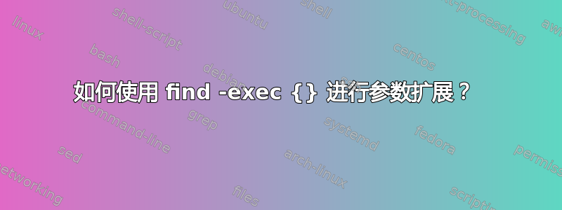 如何使用 find -exec {} 进行参数扩展？ 