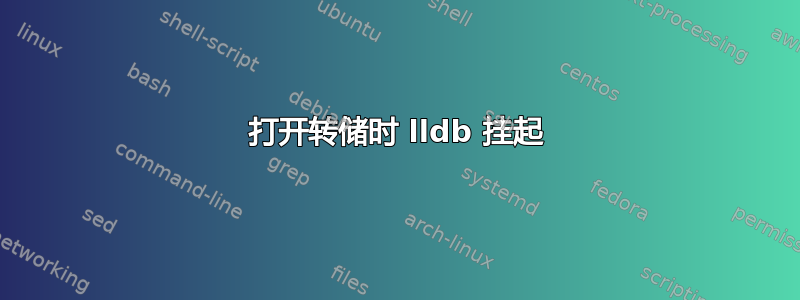 打开转储时 lldb 挂起