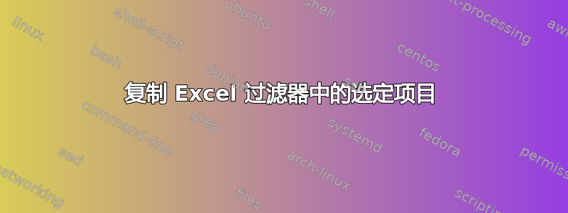 复制 Excel 过滤器中的选定项目