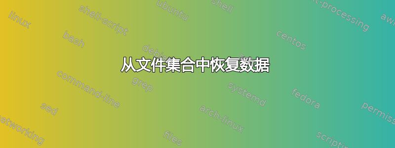 从文件集合中恢复数据