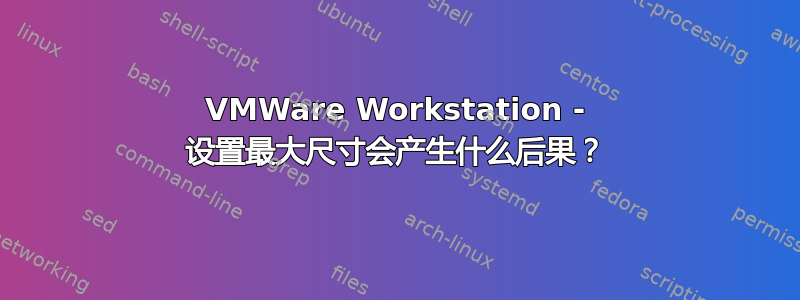 VMWare Workstation - 设置最大尺寸会产生什么后果？