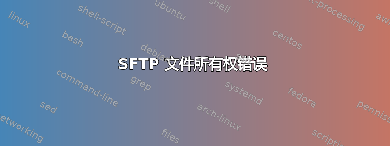 SFTP 文件所有权错误