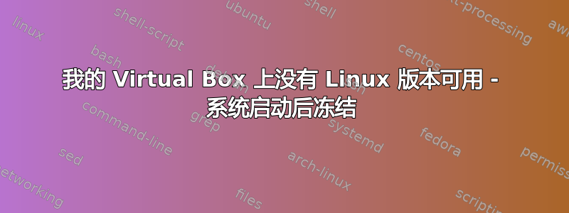 我的 Virtual Box 上没有 Linux 版本可用 - 系统启动后冻结