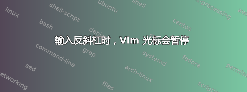 输入反斜杠时，Vim 光标会暂停