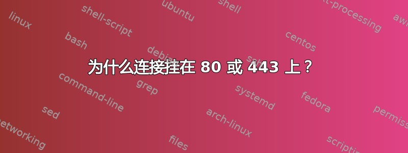 为什么连接挂在 80 或 443 上？