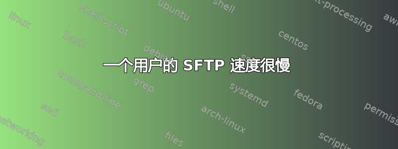 一个用户的 SFTP 速度很慢