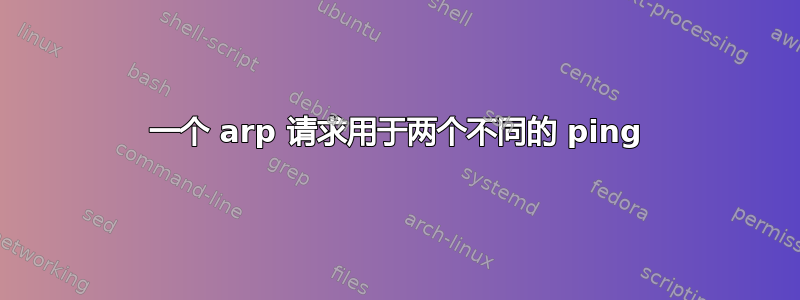 一个 arp 请求用于两个不同的 ping