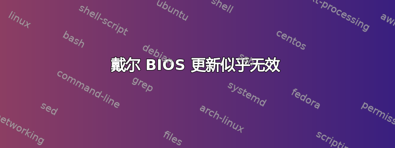 戴尔 BIOS 更新似乎无效