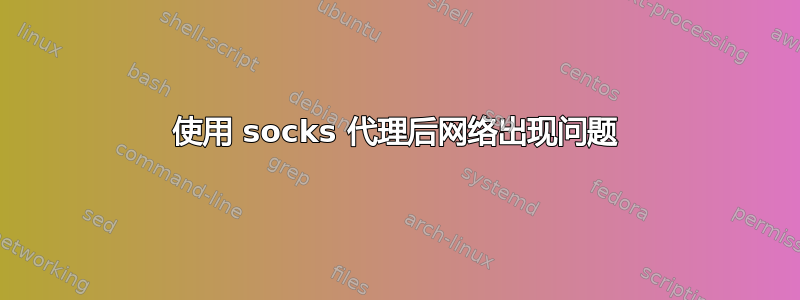 使用 socks 代理后网络出现问题