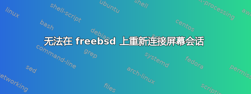 无法在 freebsd 上重新连接屏幕会话