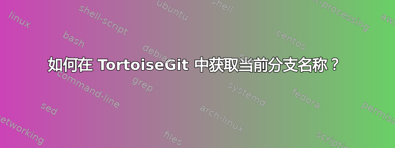 如何在 TortoiseGit 中获取当前分支名称？