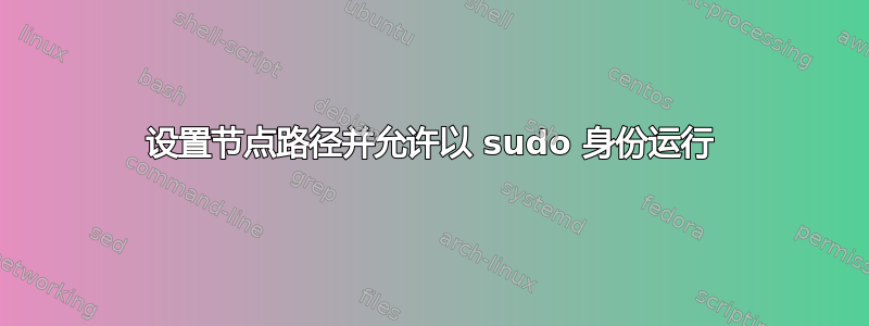 设置节点路径并允许以 sudo 身份运行