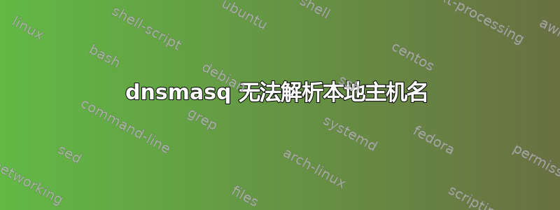 dnsmasq 无法解析本地主机名