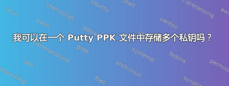 我可以在一个 Putty PPK 文件中存储多个私钥吗？