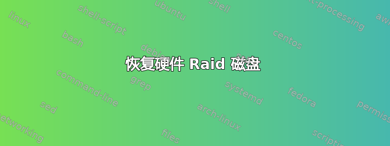 恢复硬件 Raid 磁盘