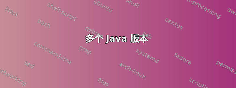 多个 Java 版本