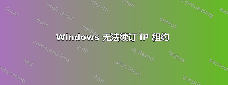 Windows 无法续订 IP 租约