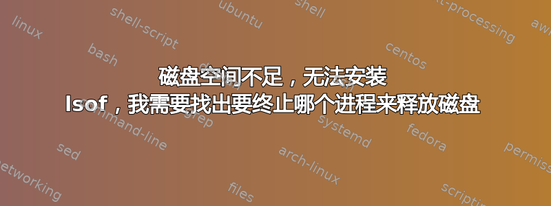 磁盘空间不足，无法安装 lsof，我需要找出要终止哪个进程来释放磁盘