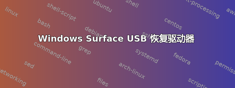 Windows Surface USB 恢复驱动器