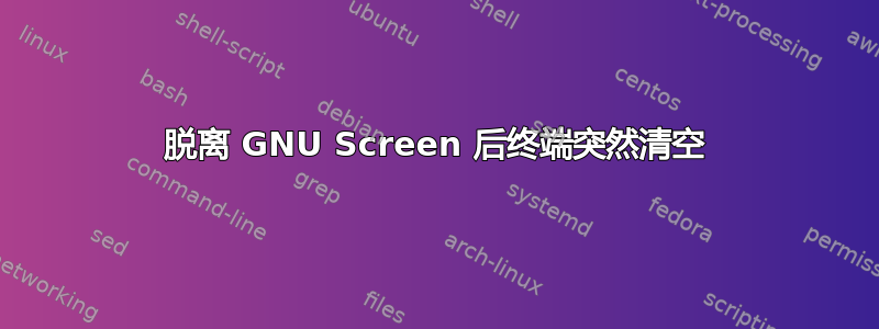 脱离 GNU Screen 后终端突然清空