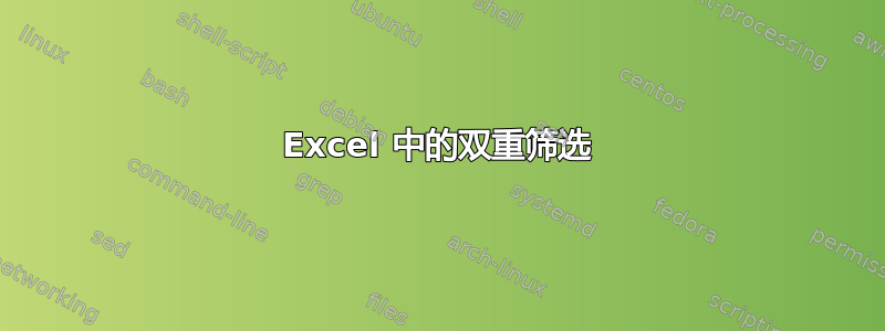 Excel 中的双重筛选