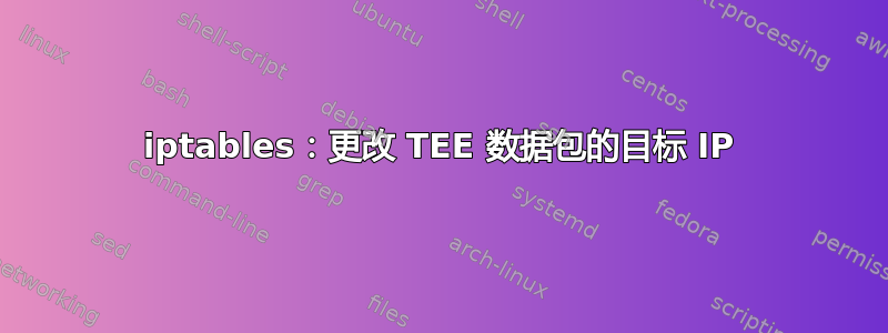 iptables：更改 TEE 数据包的目标 IP