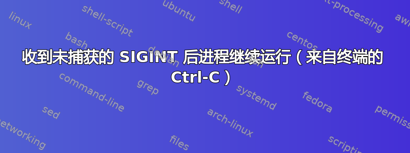 收到未捕获的 SIGINT 后进程继续运行（来自终端的 Ctrl-C）