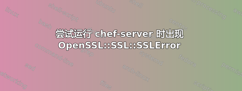 尝试运行 chef-server 时出现 OpenSSL::SSL::SSLError