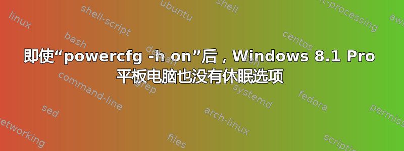 即使“powercfg -h on”后，Windows 8.1 Pro 平板电脑也没有休眠选项