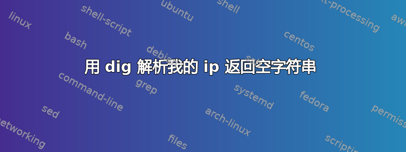 用 dig 解析我的 ip 返回空字符串