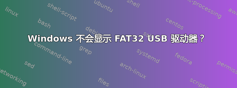 Windows 不会显示 FAT32 USB 驱动器？